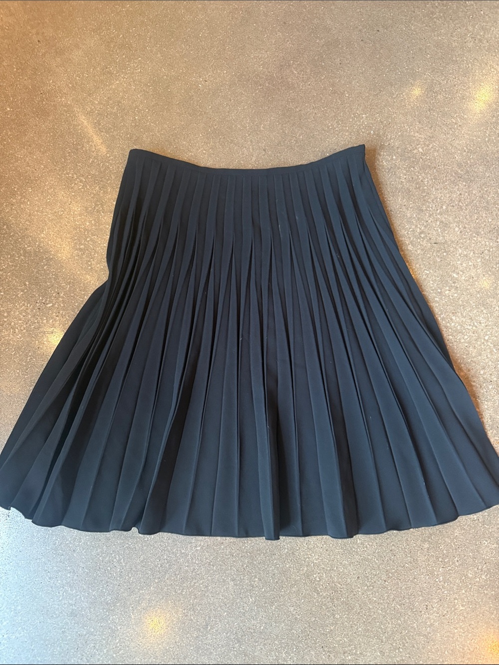 Armani Collezioni Black Pleated Circle Skirt